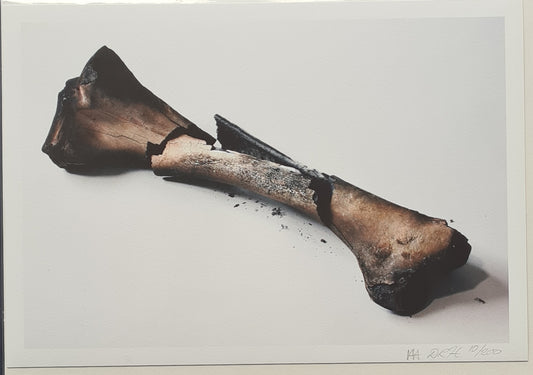 Burnt Bone - Ackroyd and Harvey (20cm x 33cm)