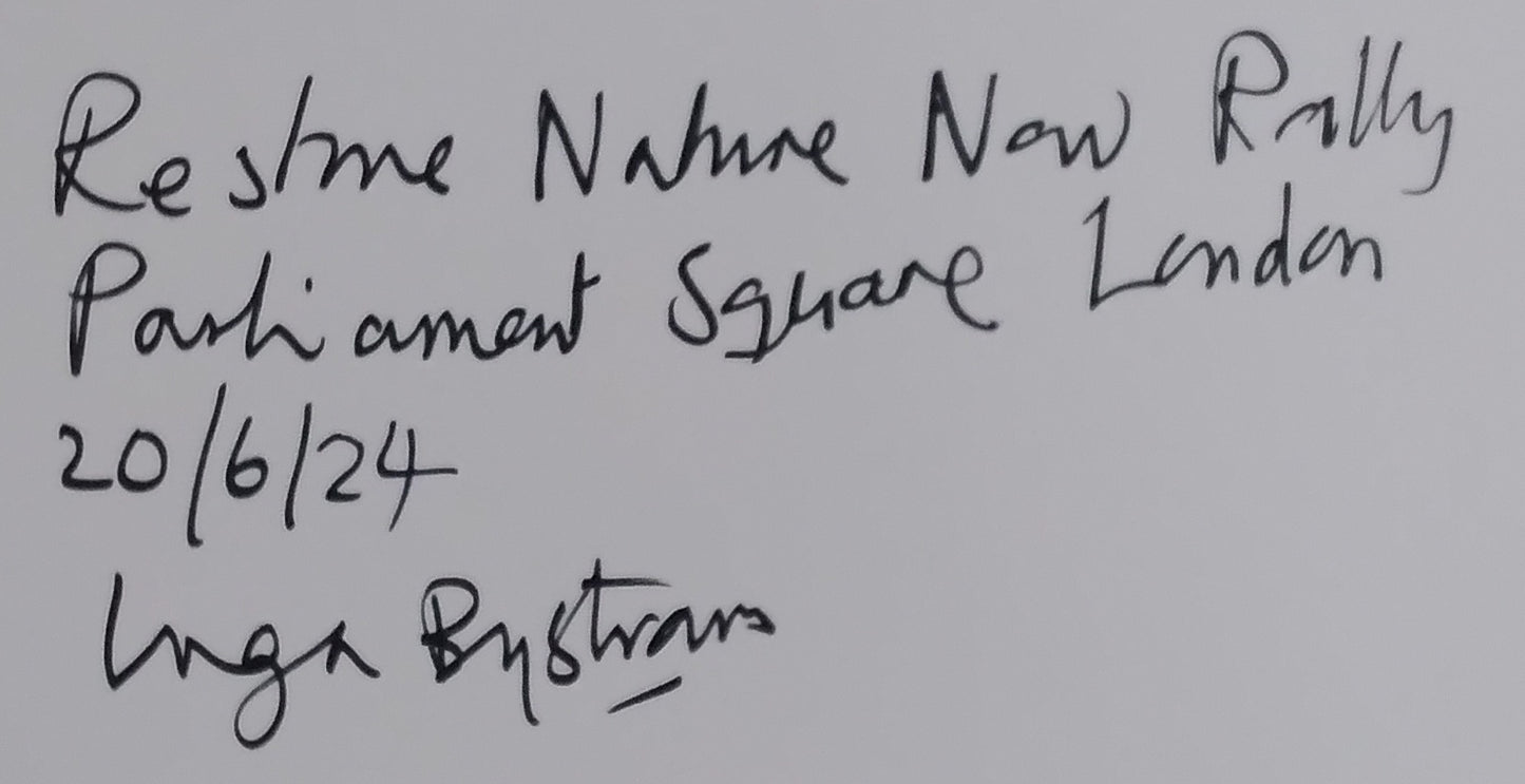 Restore Nature Now, Parliament Square 22/6/24 - Inga Bystram (A3)