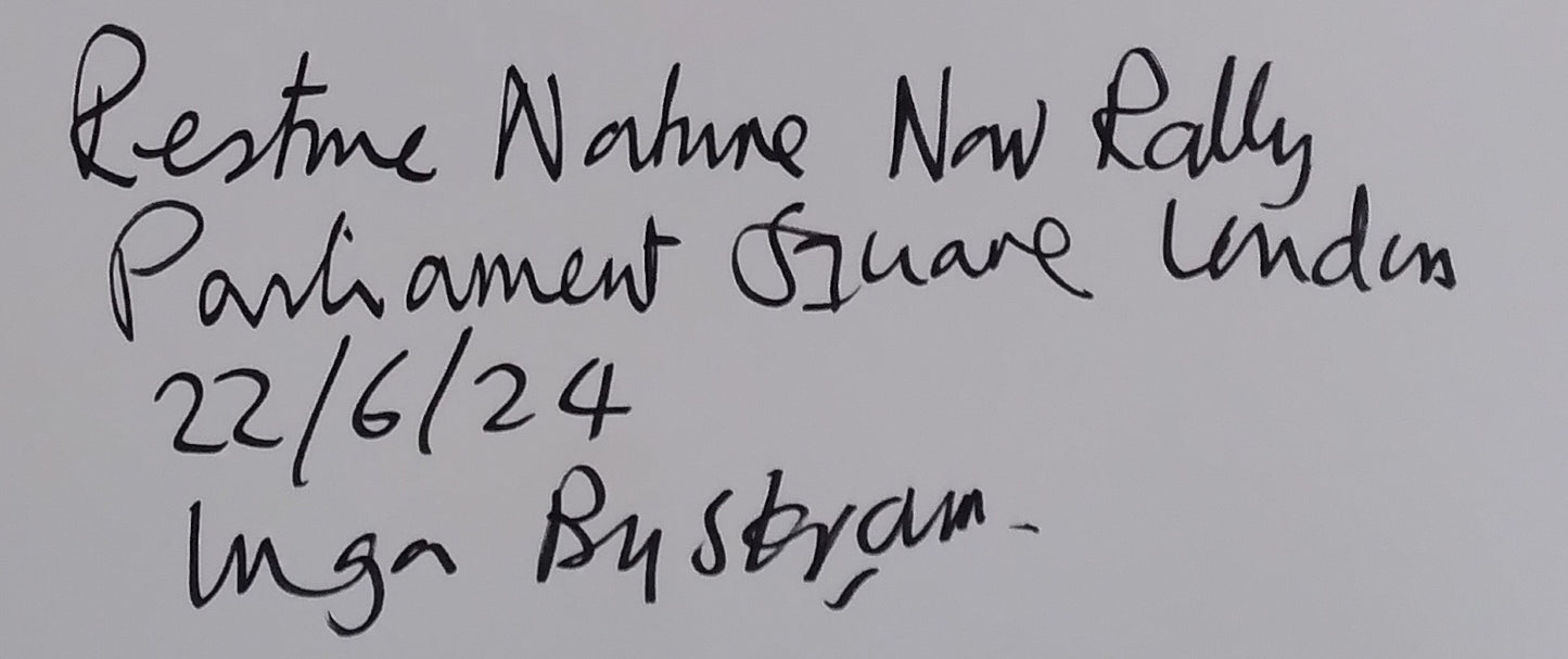 Restore Nature Now, Parliament Square 22/6/24 - Inga Bystram (A3)