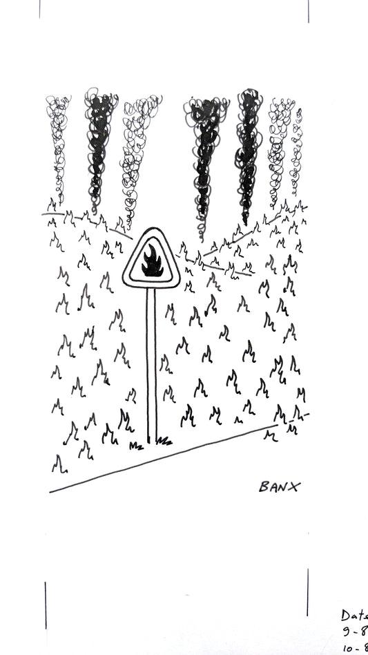 Wildfires - BANX