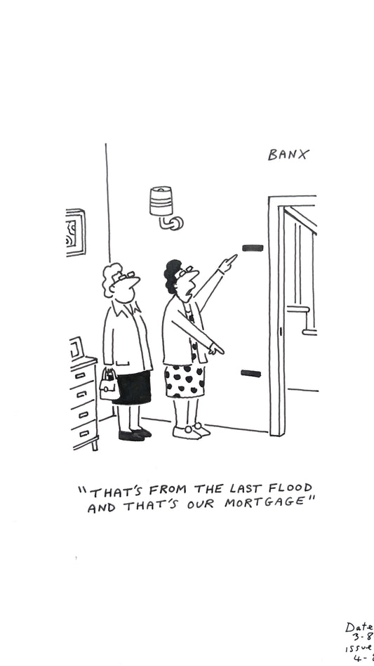 Floods Vs Mortgage - BANX